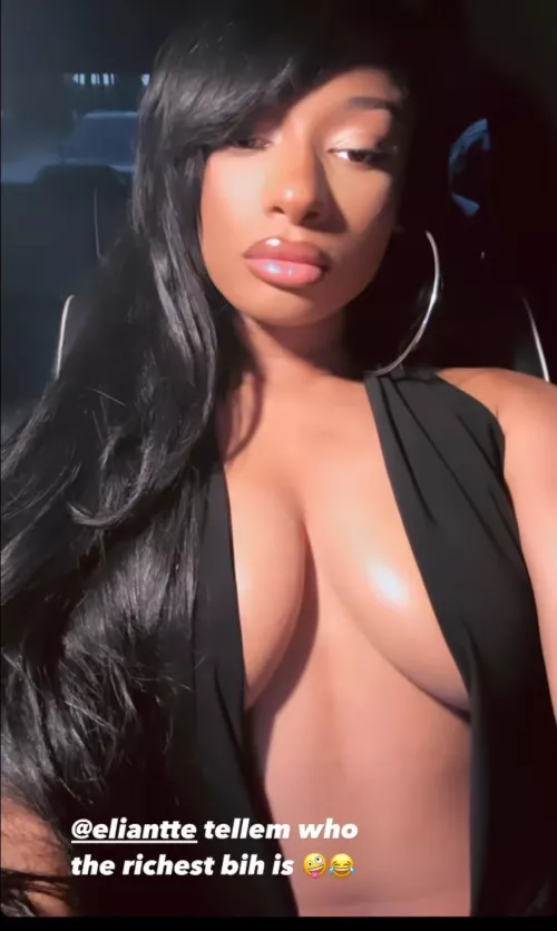 Megan thee stallion by InternationalAd7925