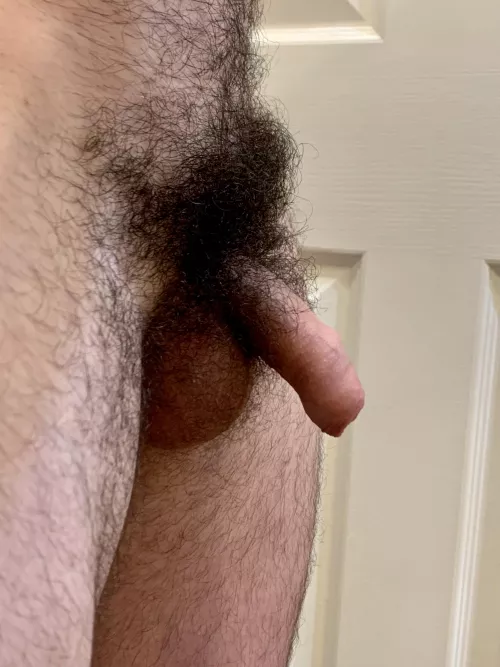 Too much bush? by coveredpurple