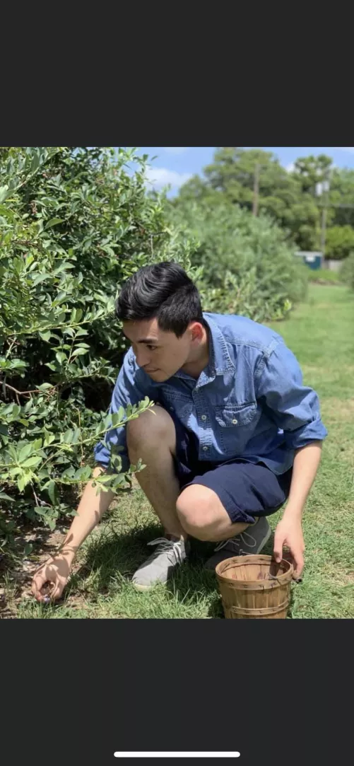 Went blueberry picking by greysharpe