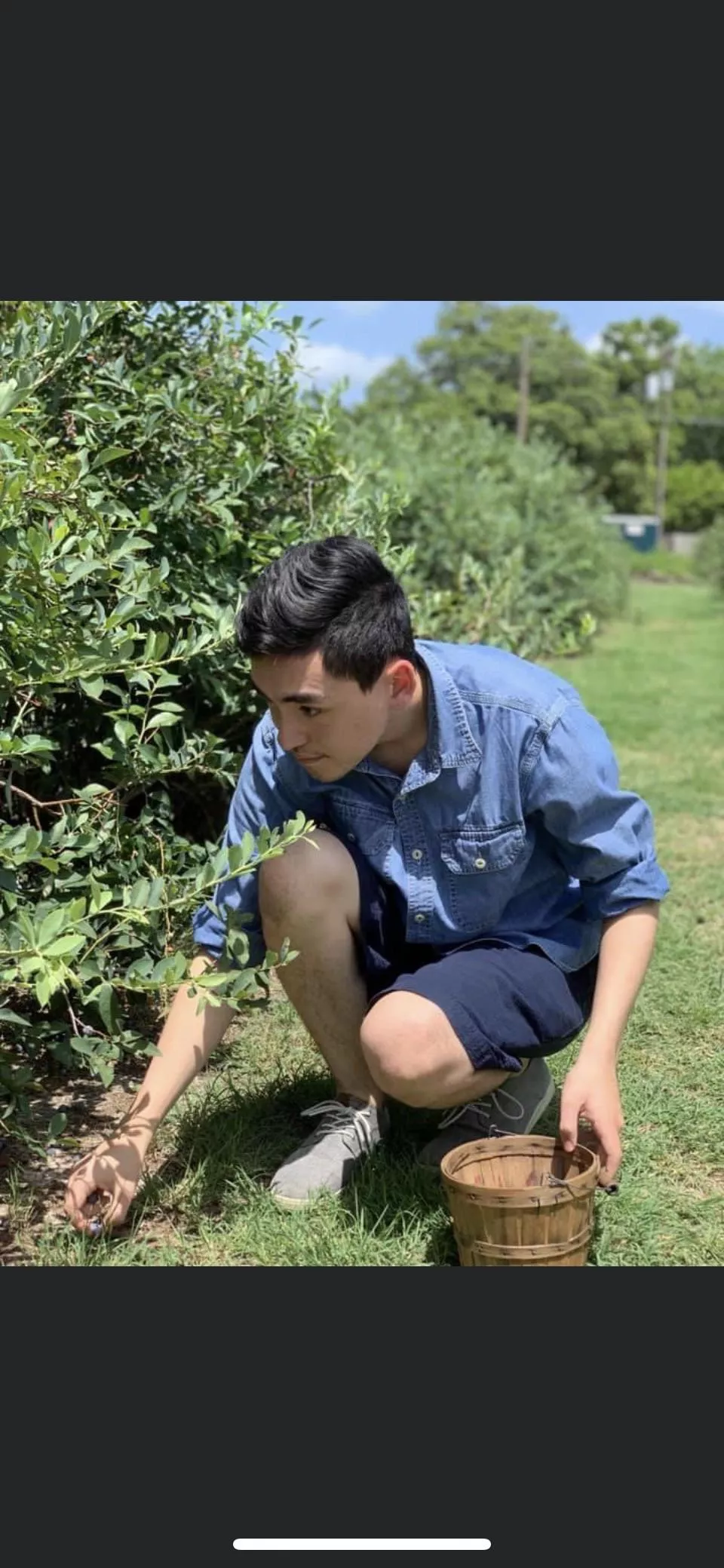 Went blueberry picking posted by greysharpe