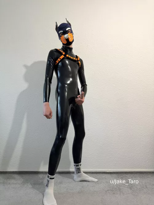 what would you do first when seeing this? by Jake_Taro