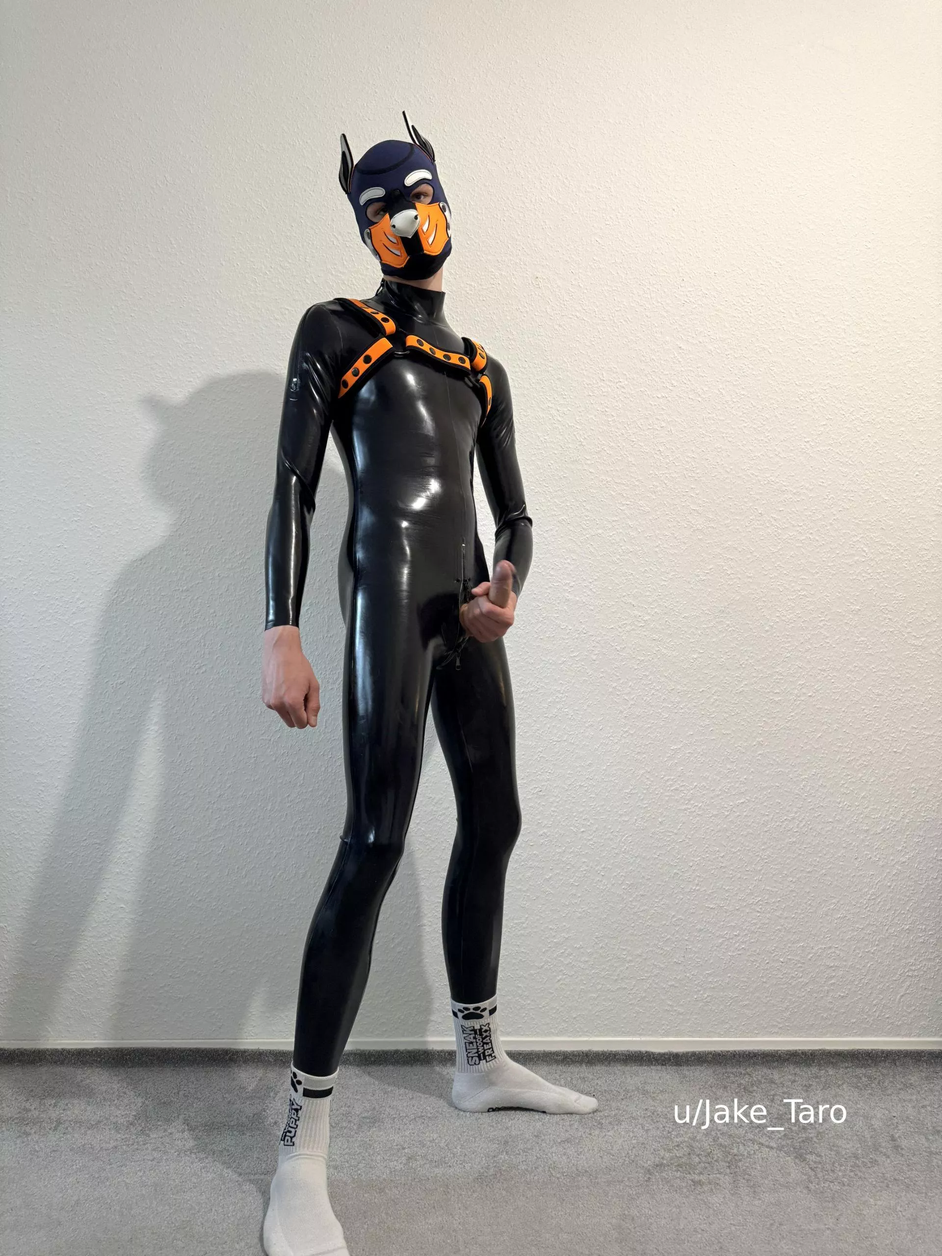 what would you do first when seeing this? posted by Jake_Taro