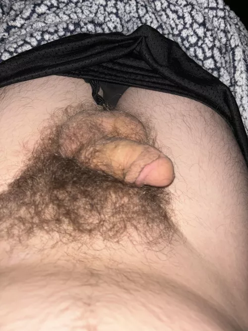 (18) anyone wanna see me hard by invalid4846