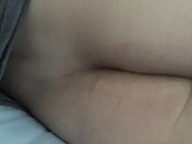 18 shaved bottom by shittensson