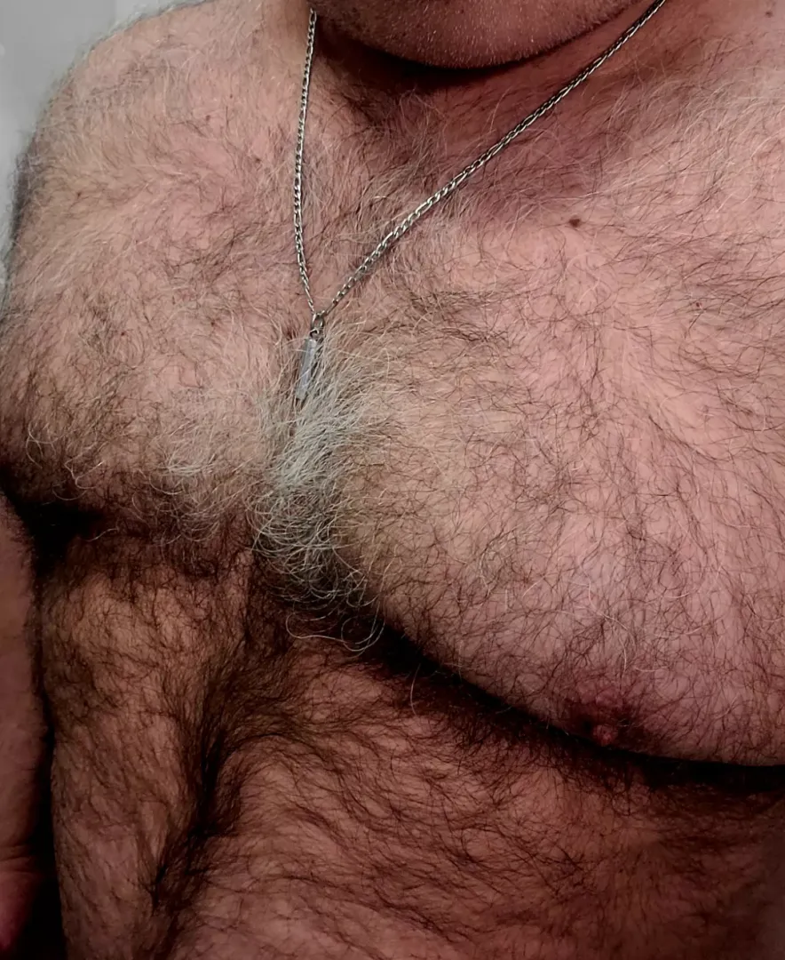 50+ Dom Daddy Bear Feeling Furry posted by Big-Daddy-XO