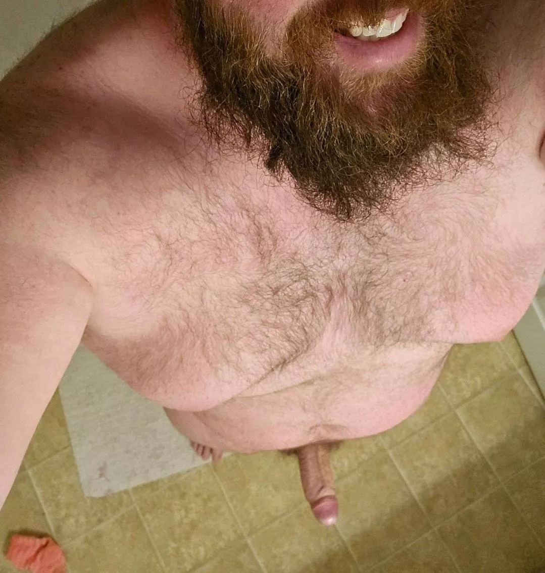 A little morning wood posted by Inevitable-Office398