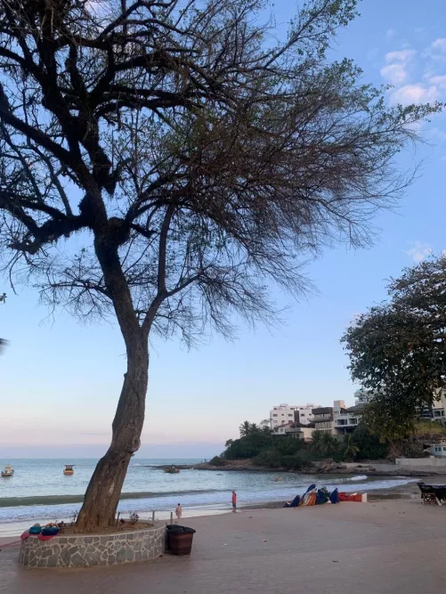 Another pic of Iriri Beach in Brazil by CompetitiveSouth9603