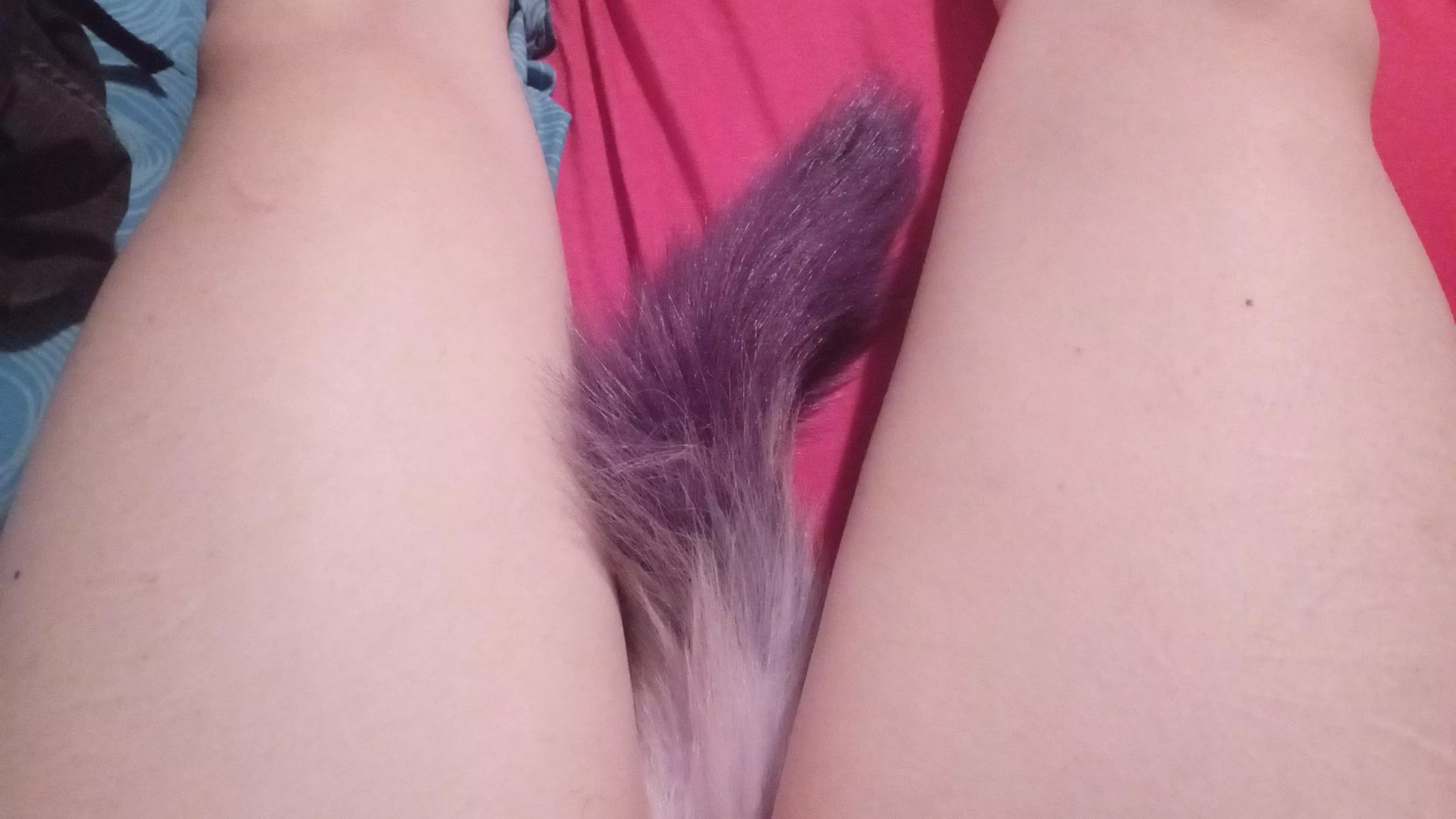 Be gentle, I'm sensitive >~< posted by lilly-liam