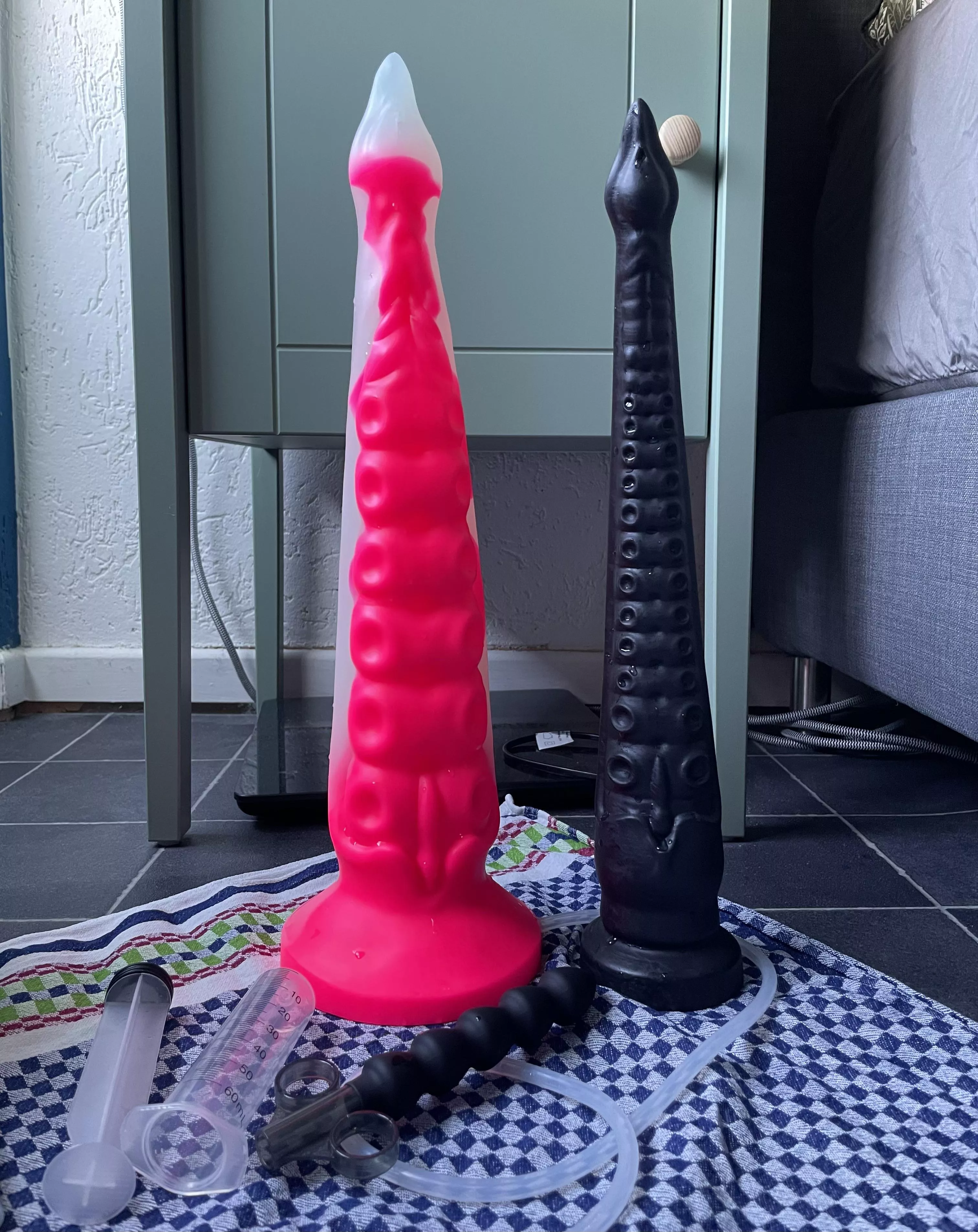 Big mistake!! posted by Dutch_Shorthair