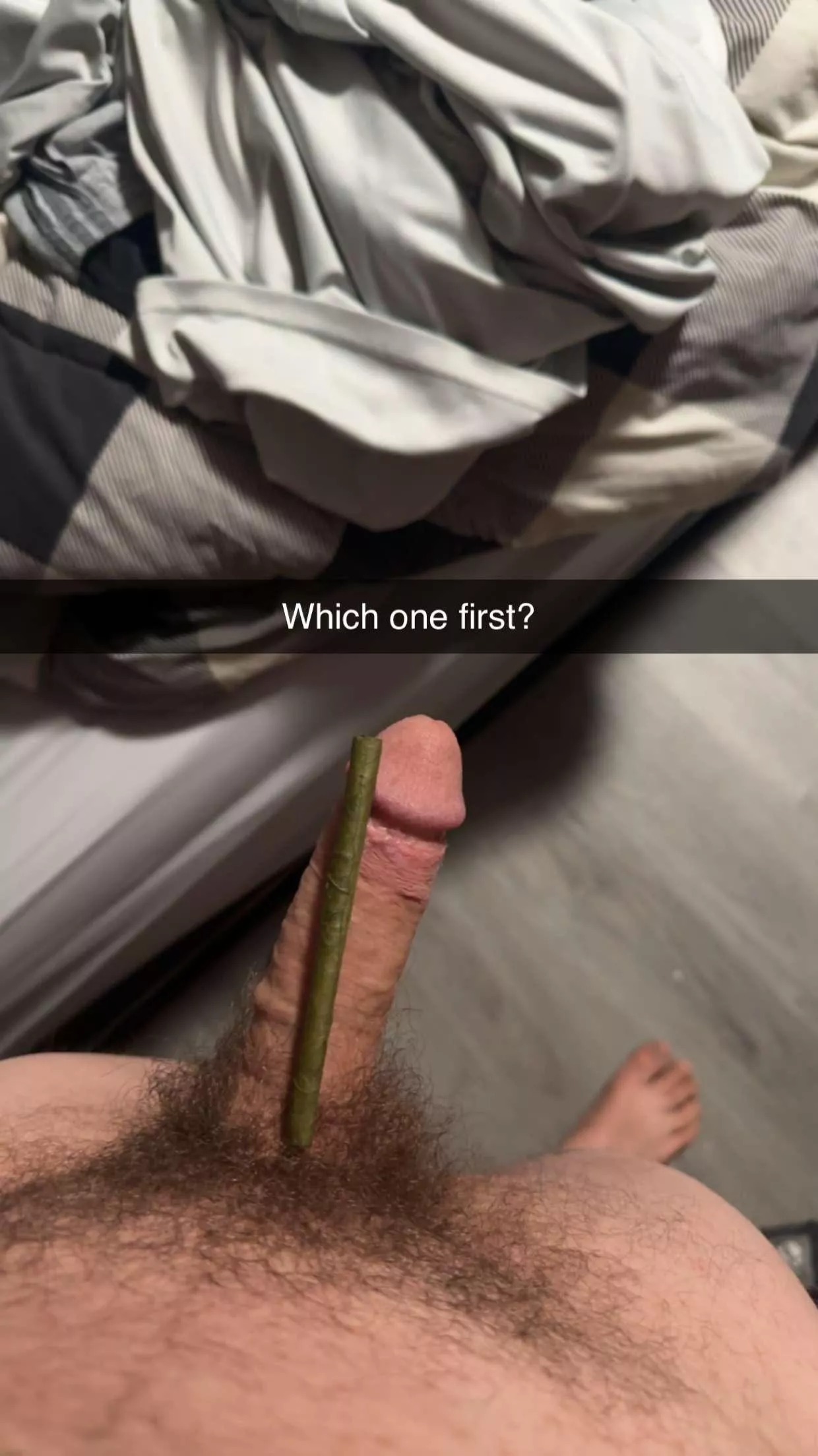 Finish getting (M)e Hard or the blunt first? posted by Majestic-Hearing-427