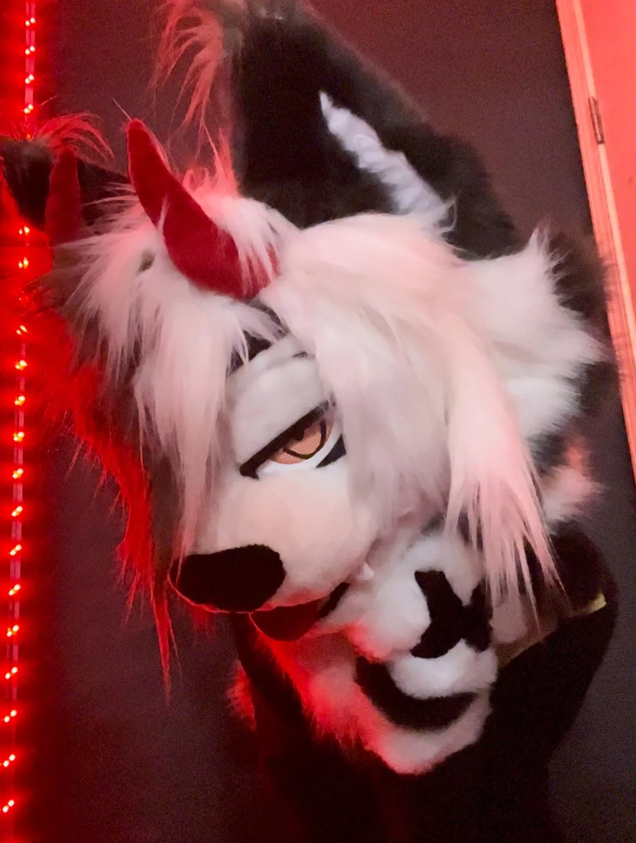 GRAHHHHHHHHHHH posted by DazedPt2