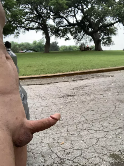 Happy Eclipse Day by txnkddriver