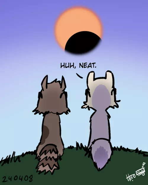 Happy Solar Eclipse! by borealhao