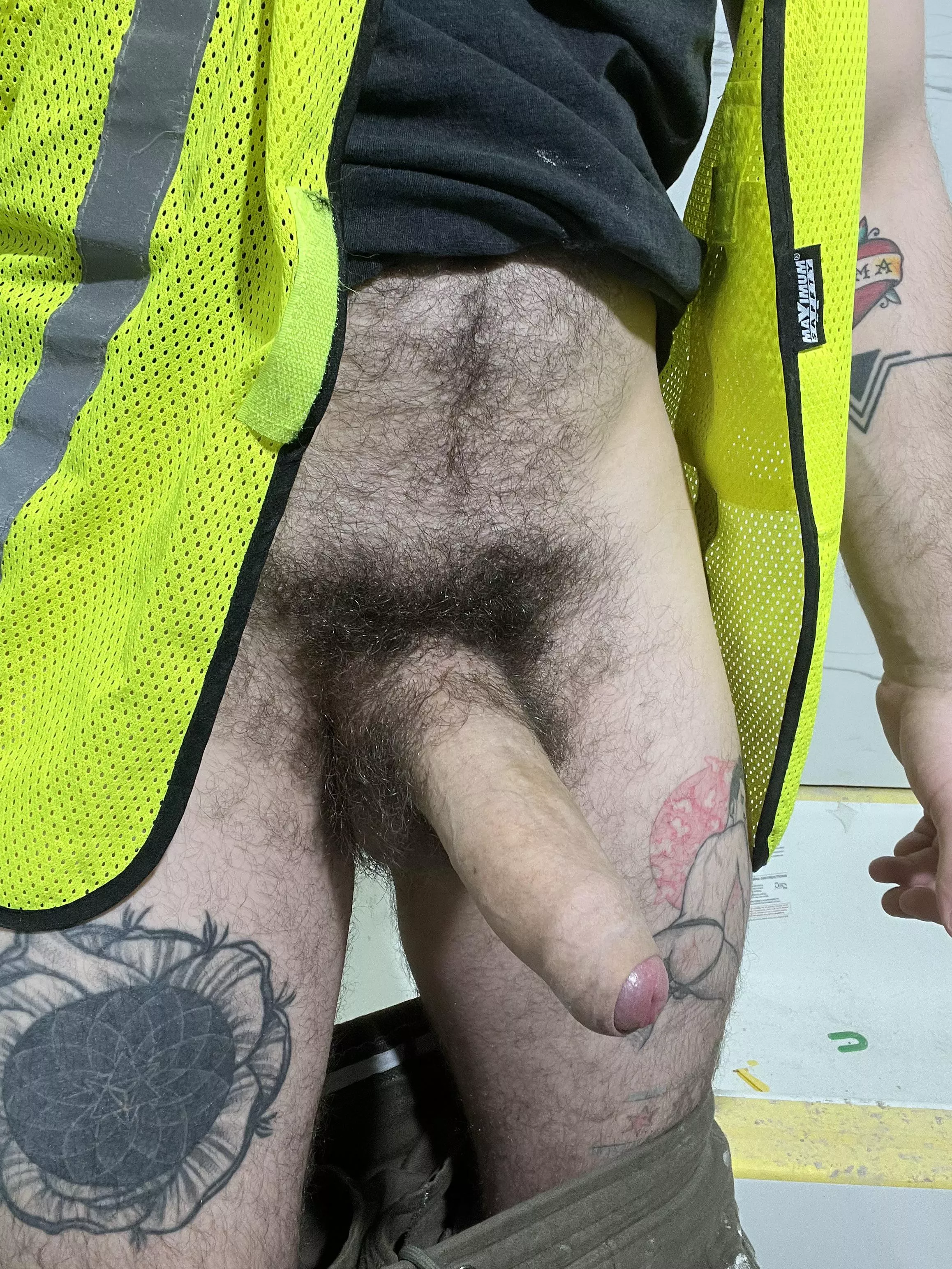 I am your new handyman  posted by vlad_chi_art