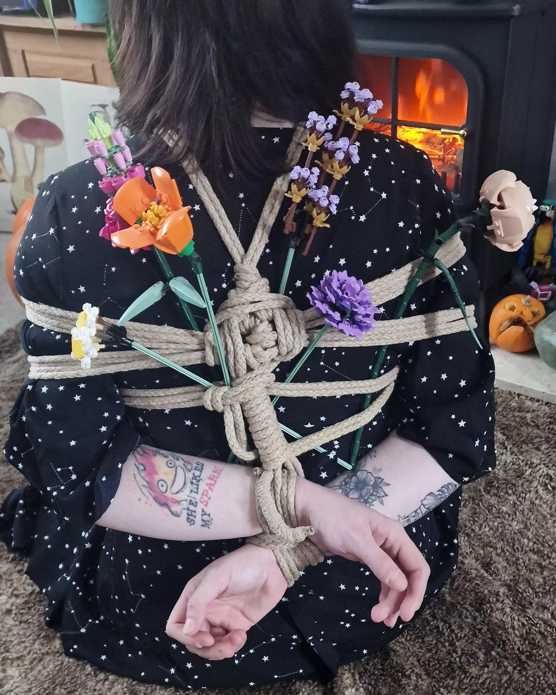 I wish the Lego wasnt so brittle! posted by Enterr-sshibari