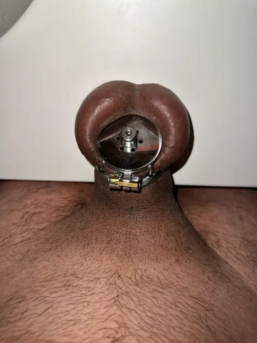 I’m being punished by freakygymrat