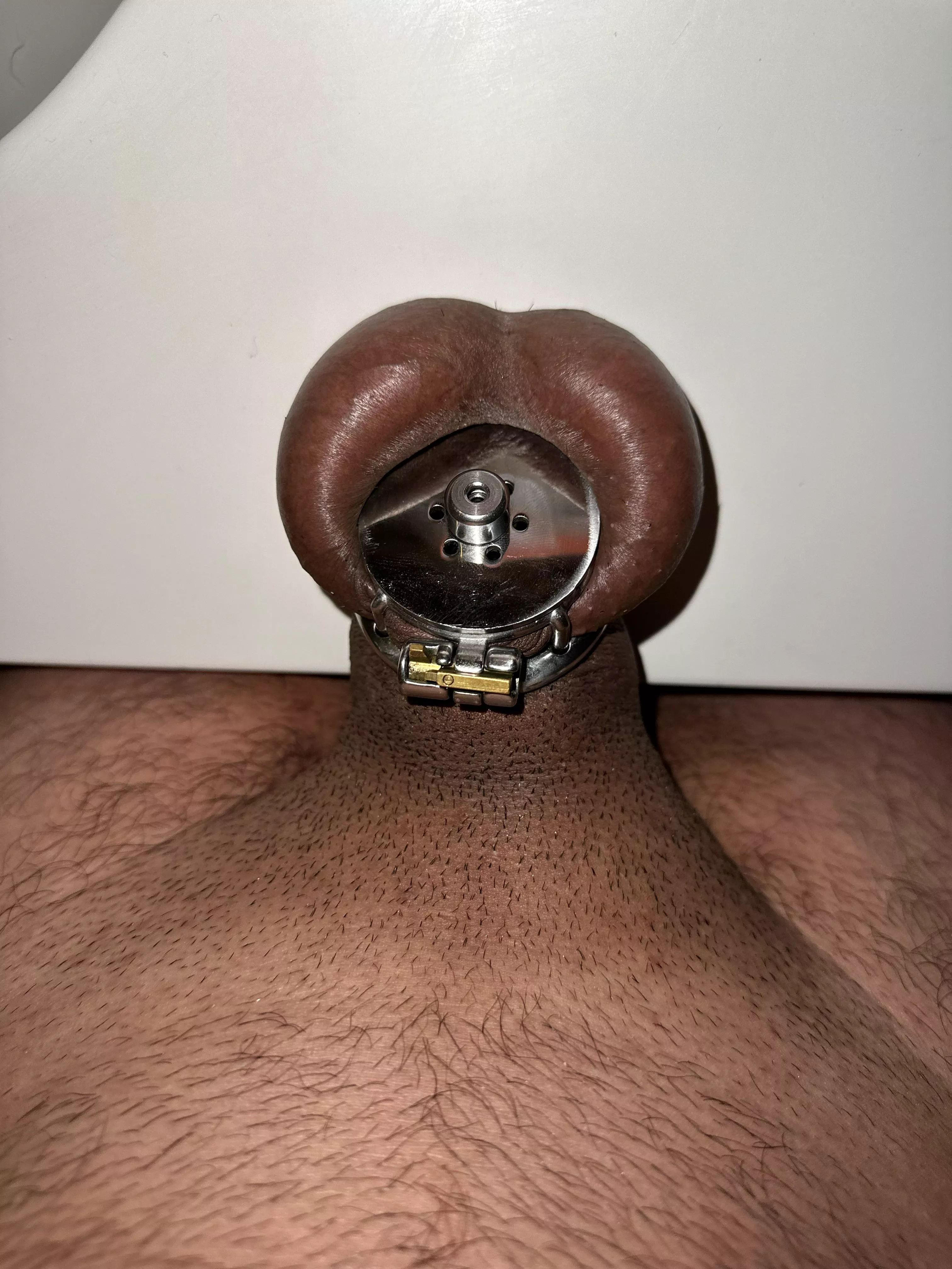 I’m being punished posted by freakygymrat