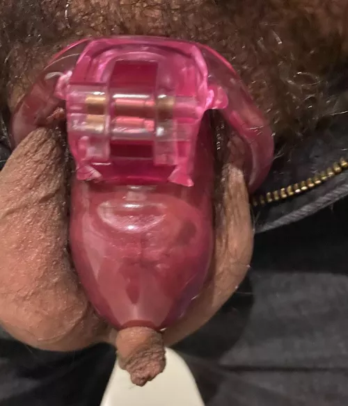 Locked maid by HumiliatedPigBitch