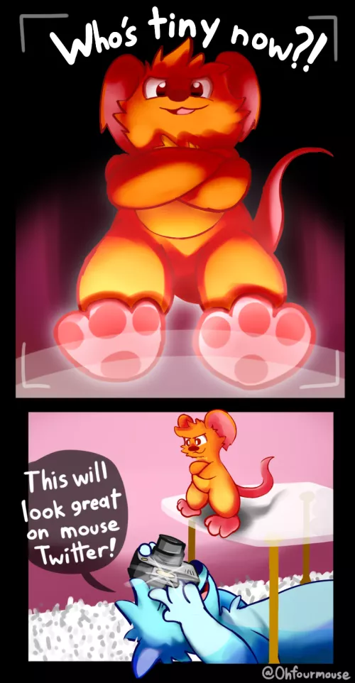 Mouse twitter is a very small community [OC] by OhfourMouse