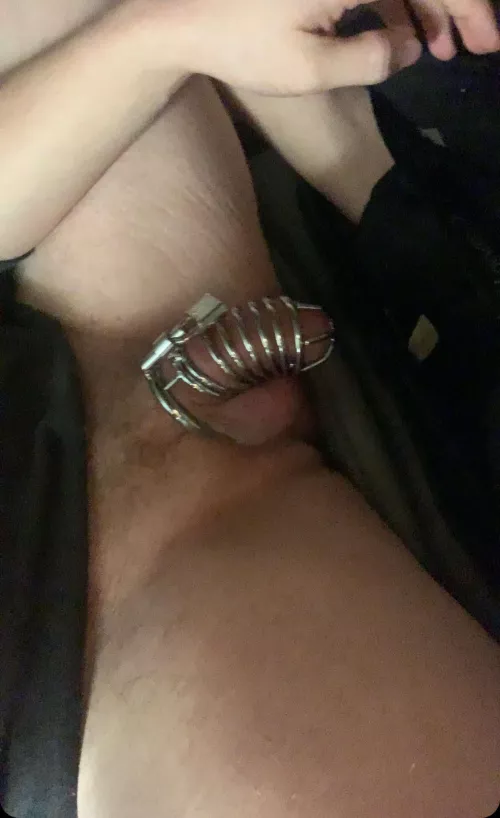 New cage how do I look by troft22