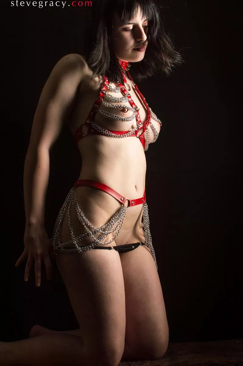 Nova posted by SteveGracyPhoto