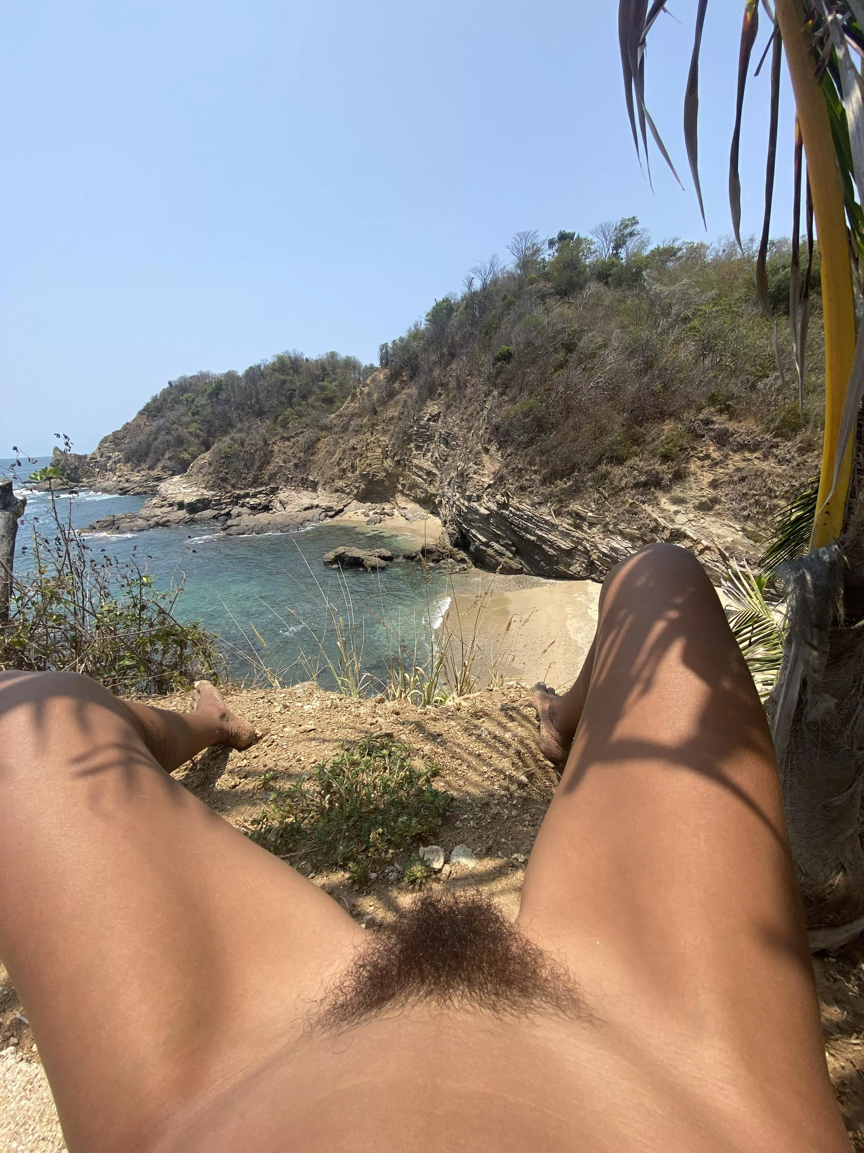 Taking my bush out  posted by Cremeduciel