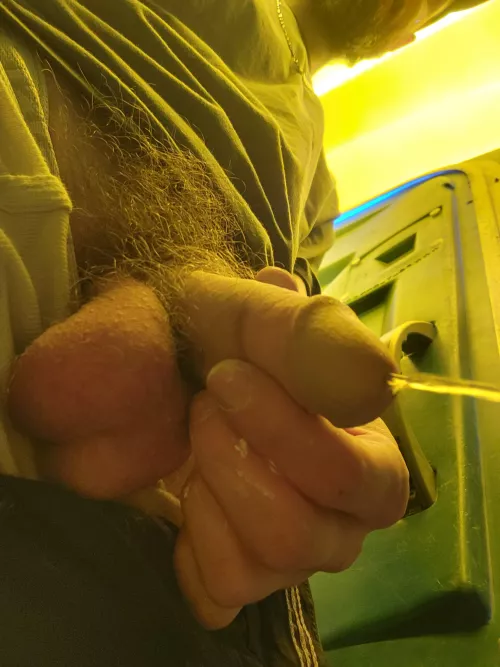 This sweaty worksite bush is wild today  by Double-Win305