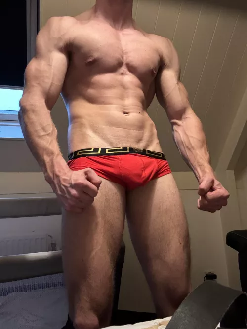 What do you think of my boxer? by Dutchblondee