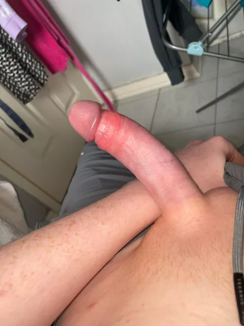 what do you think of my shaven dick? (19) by DesignElegant51