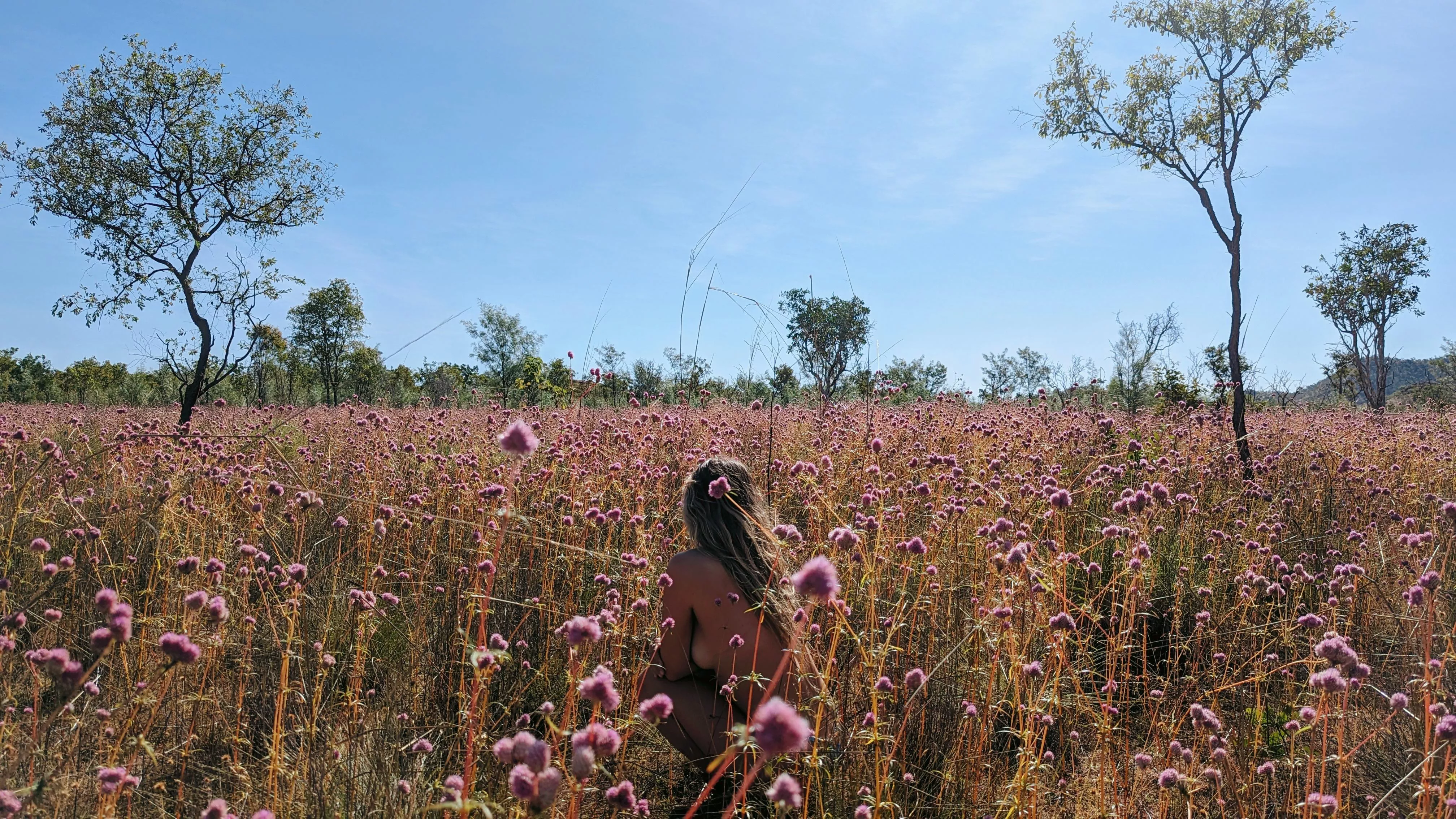 wild flower season posted by honeylullah