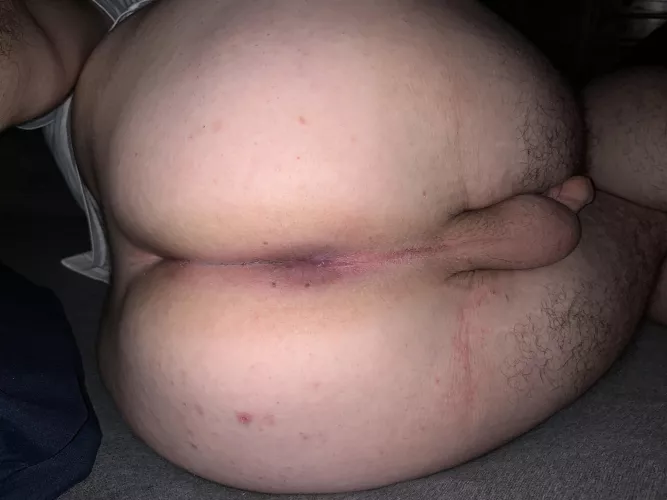 Would u breed? by Fatbubblebutt808