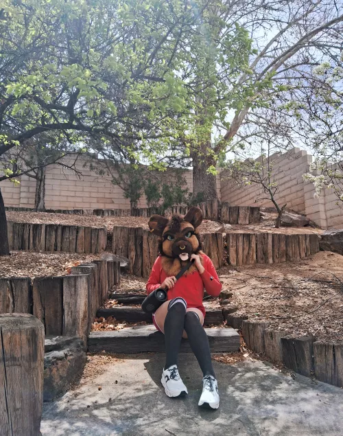 You guys enjoy the eclipse too? by FoxYeen