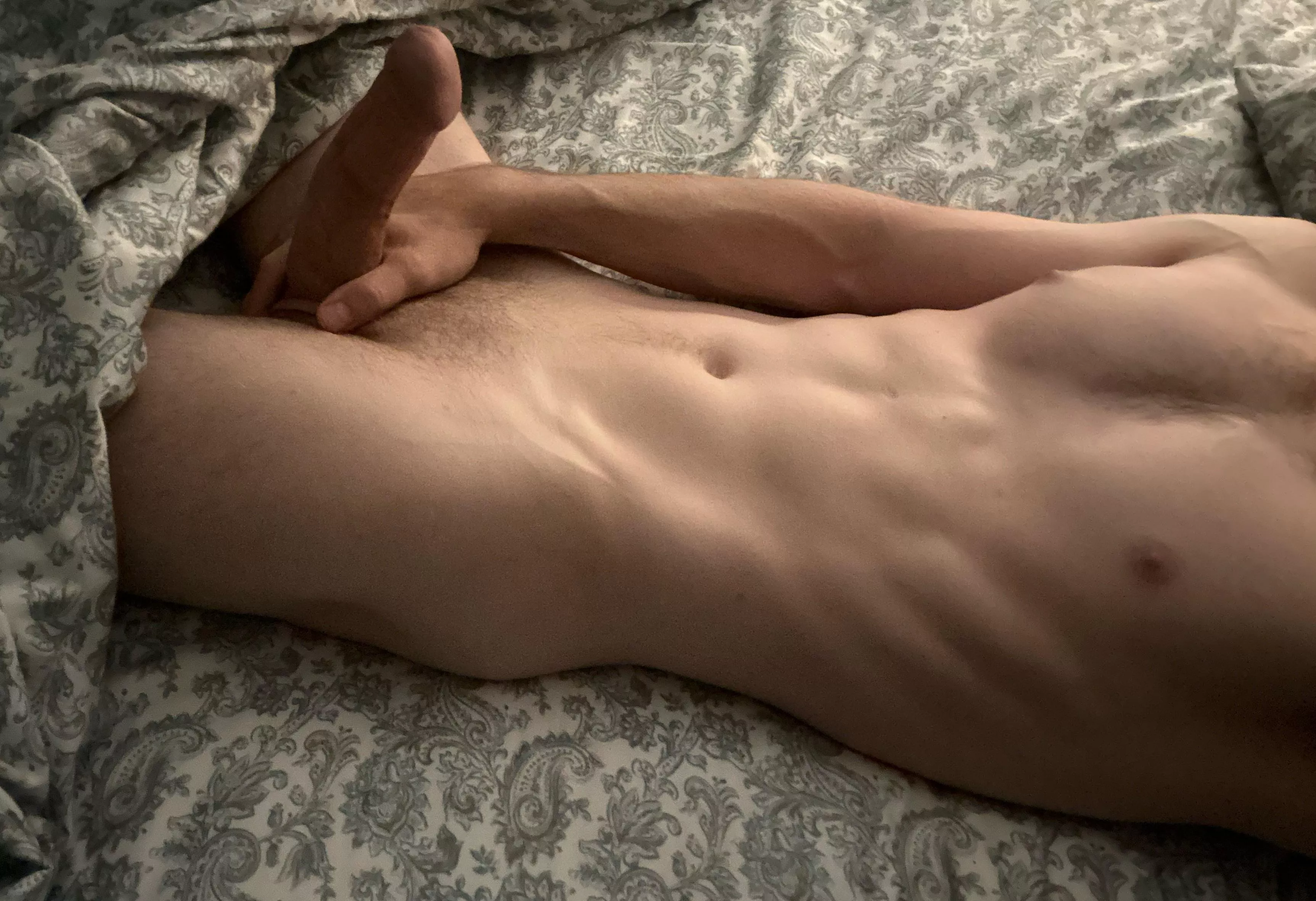 37 daddy looking for needy twink bttms sc casedad_24 posted by Adorable-Belt-6592