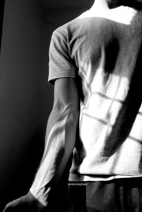 a game of shadows;) by randomlyyhere