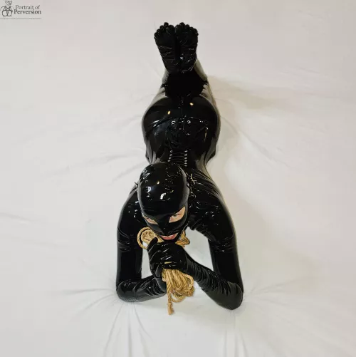Are you brave enough to let this cute little rubber doll tie you up? We can start with jute but you will end up in some very nasty coconut rope. by PortraitOfPerversion
