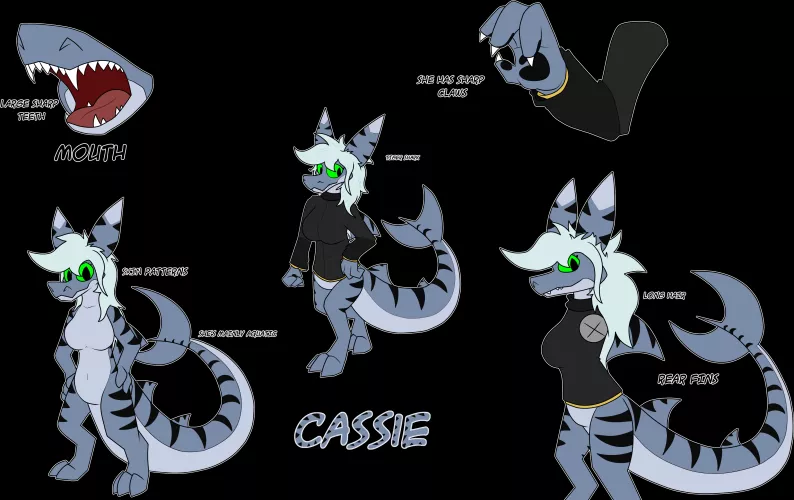 Cassie Reference by TheRedFoxxo