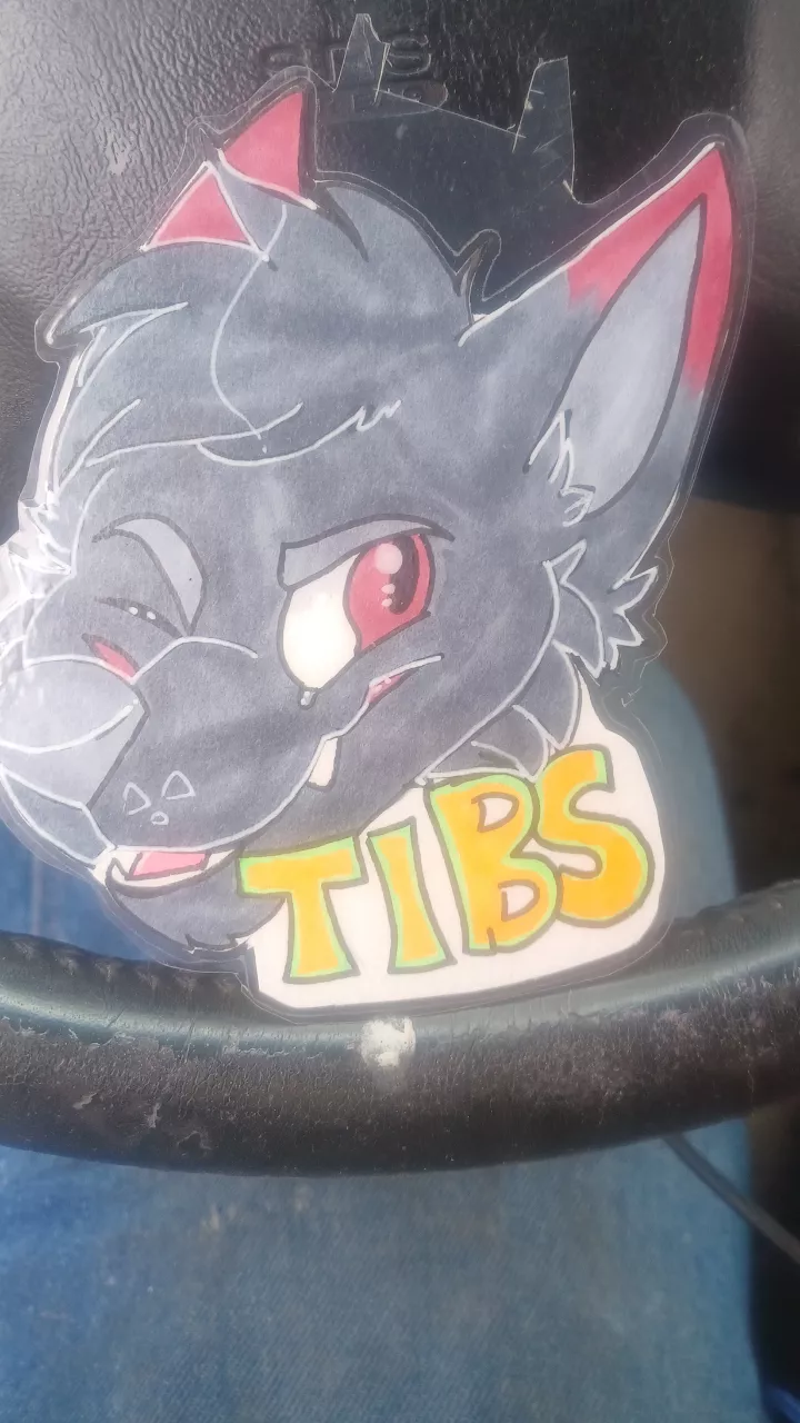 Cleaning out my new suv i found the badge of someone named tibs if this is you id love to talk and share con stories posted by Tokutathewolf
