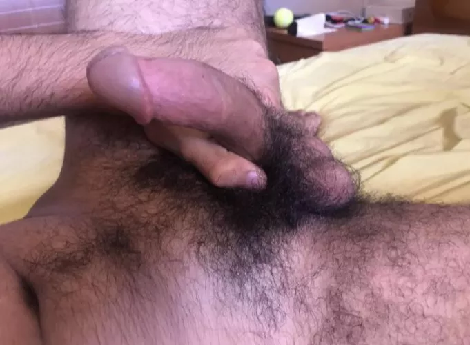 Dive right in by UniversityOk9410