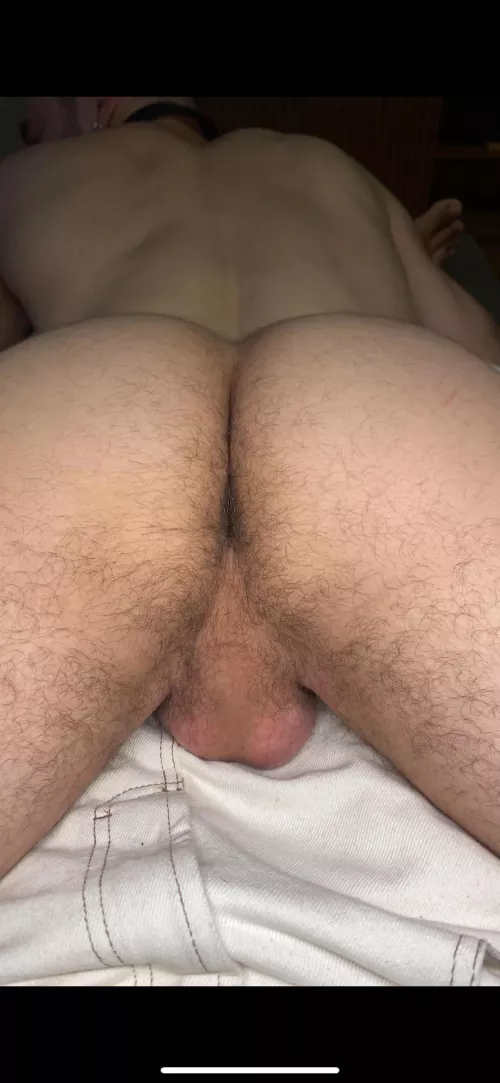 Do you like hairy ass? by wantonboybr