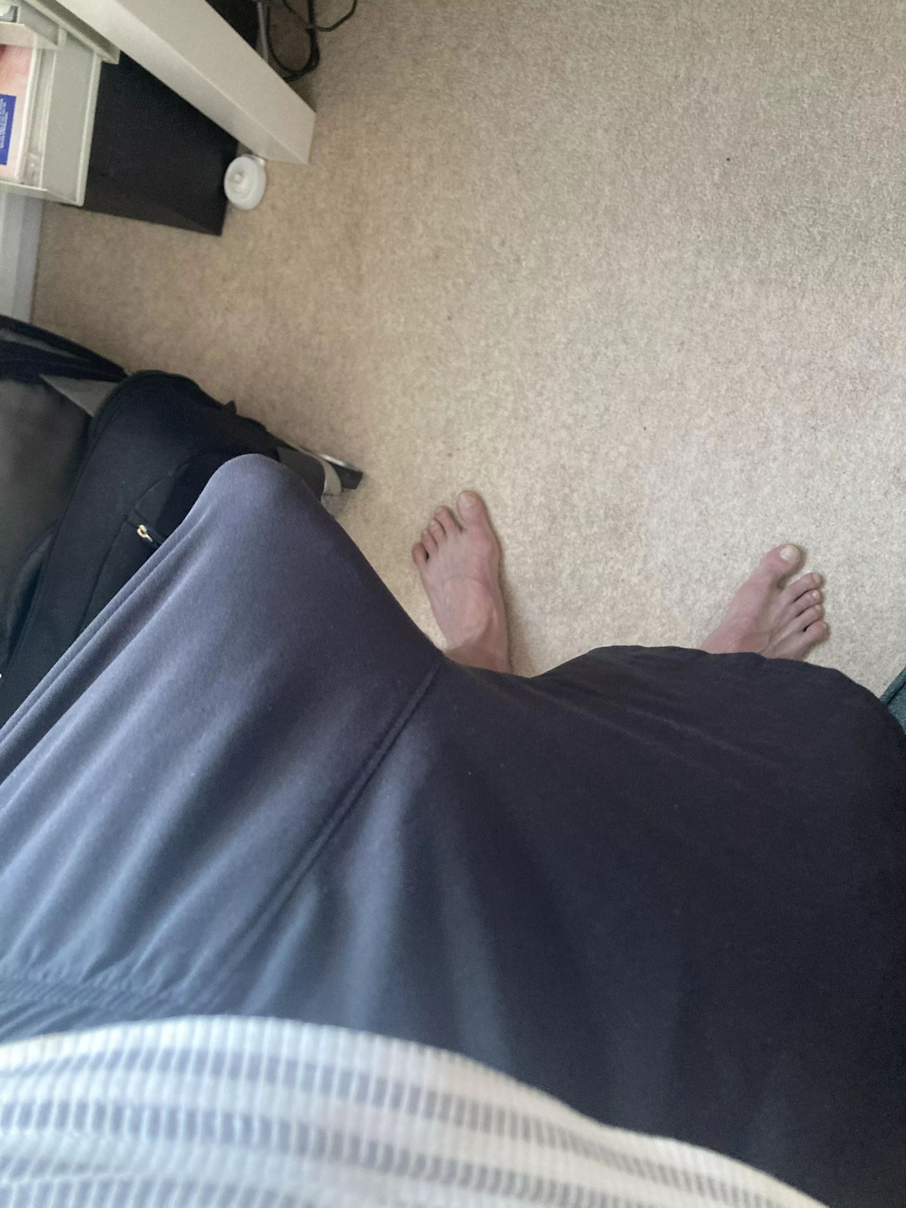 He's usually not this shy around the ladies  posted by Athletic_Banker69