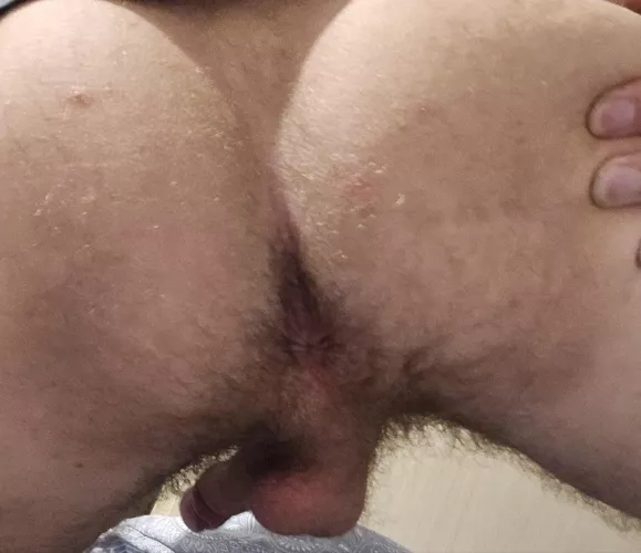 How does my hairy ass look? by jjjck2