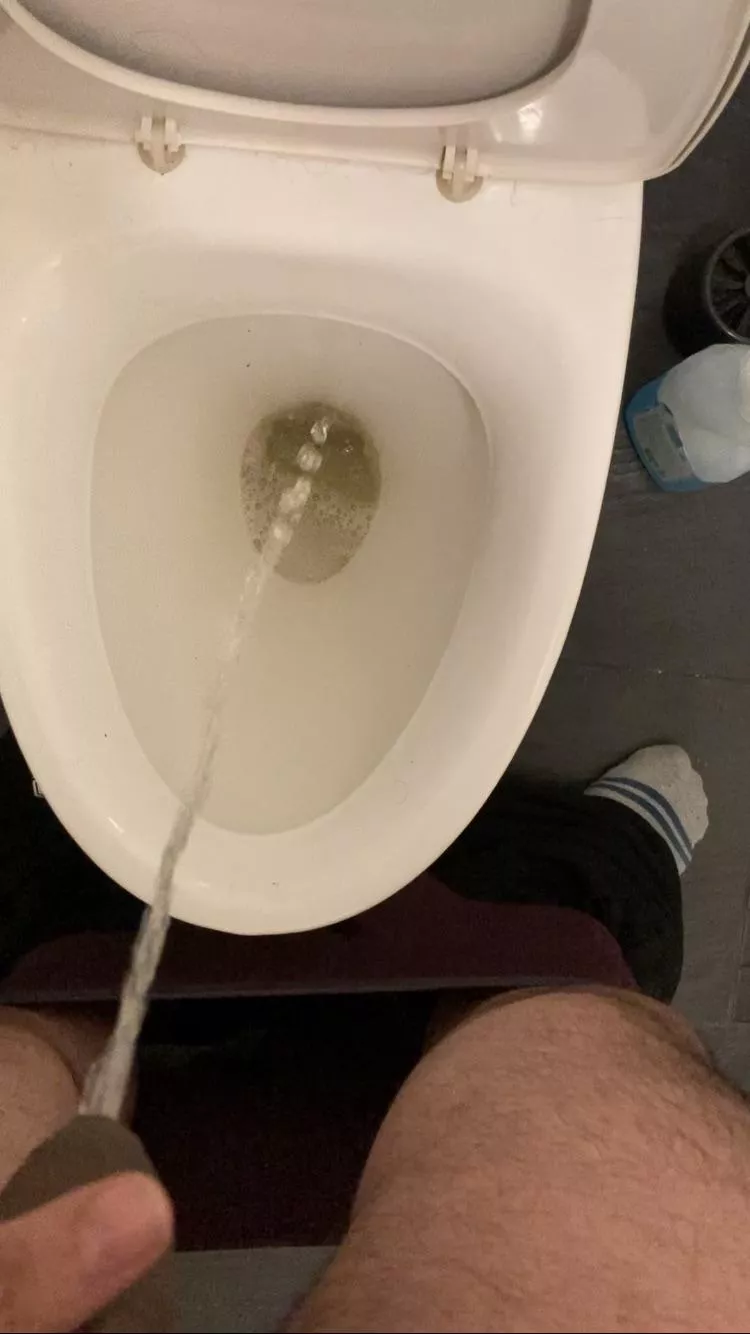 Human toilet needed posted by AlphaPanda_prime