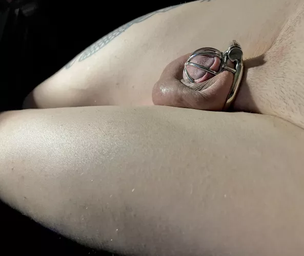 It feels so limp and properly kept rn should i get a smaller cage? by sweetSBcherry