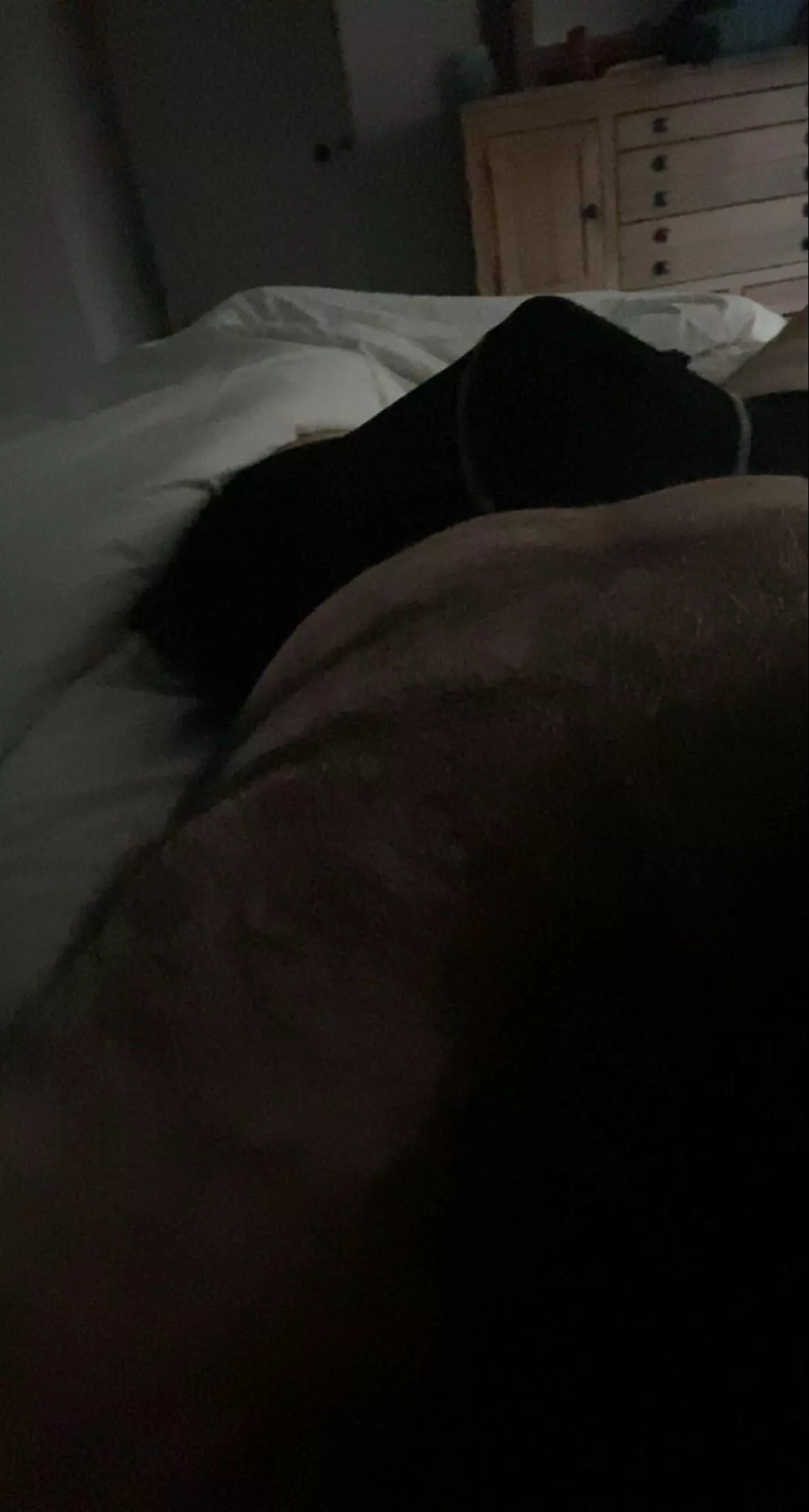 Just pitching a tent posted by Practical-Chipmunk17