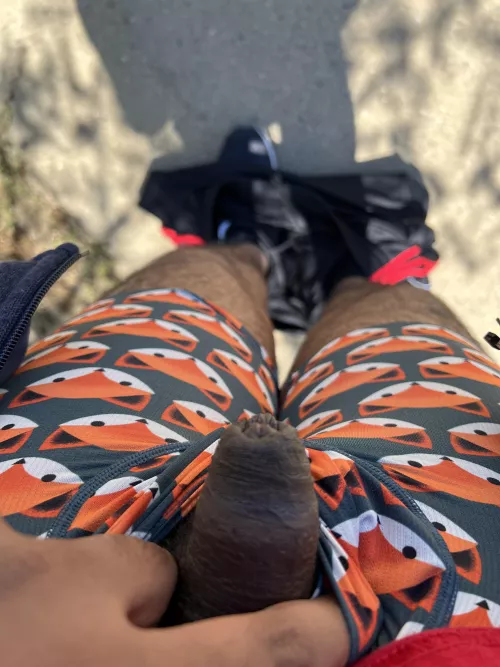 Love showing off by Ok_Foundation_3508