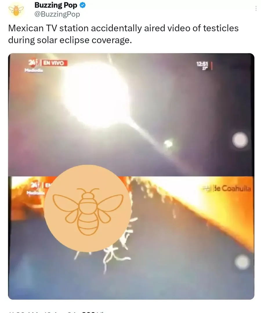 Mexican TV station accidentally aired video of testicles instead of the actual solar eclipse  posted by bongonzales2019