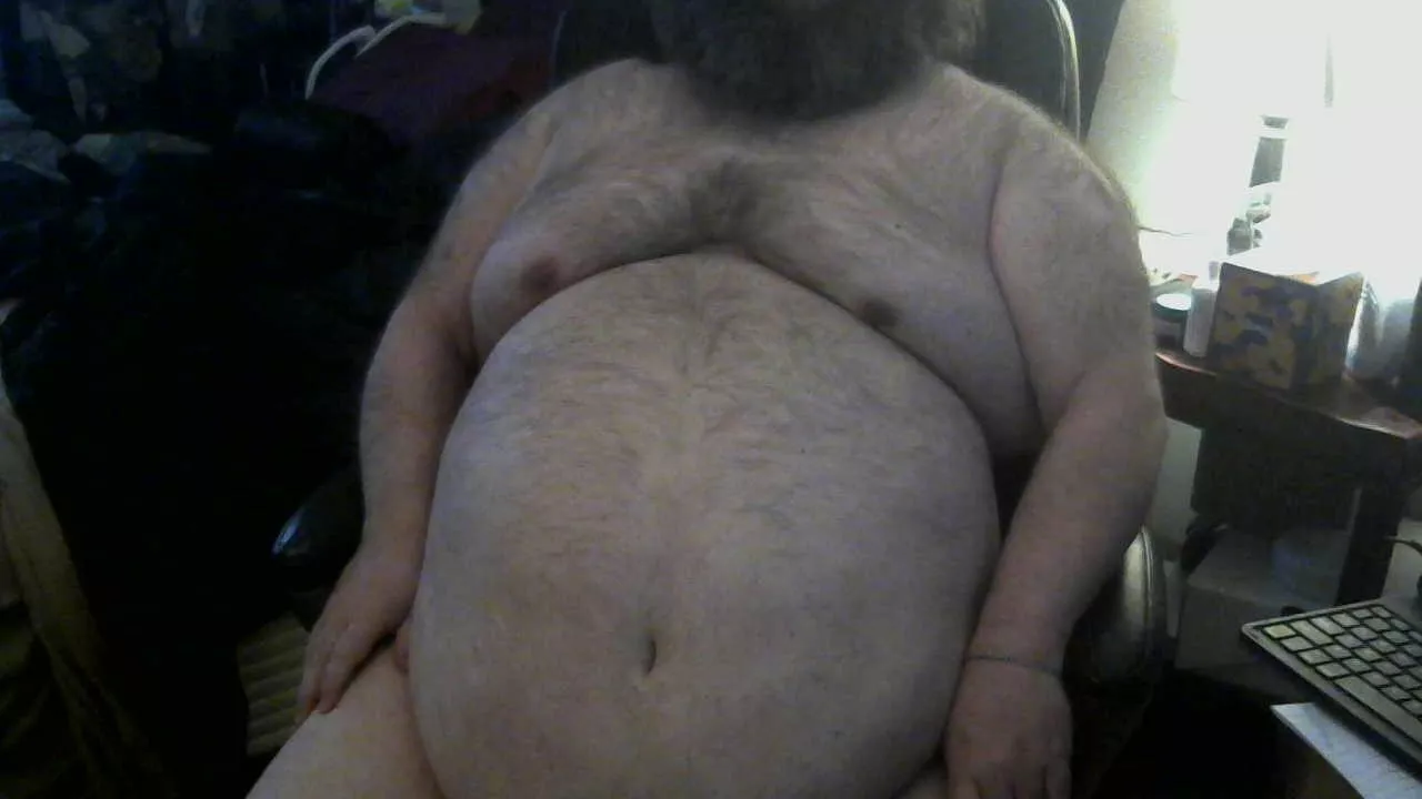 My Chubby Hairy Chest and Belly. Hope You Like posted by MiddleAgedGayBear