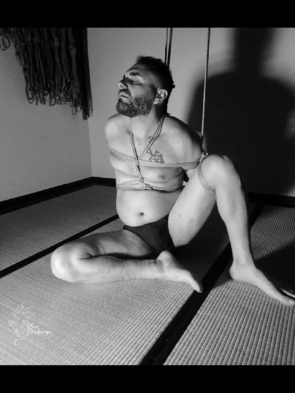 Shibari  posted by JoeyJoey8