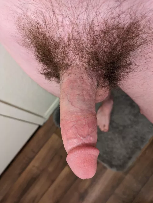 State of the Bush by NudePlankingFox