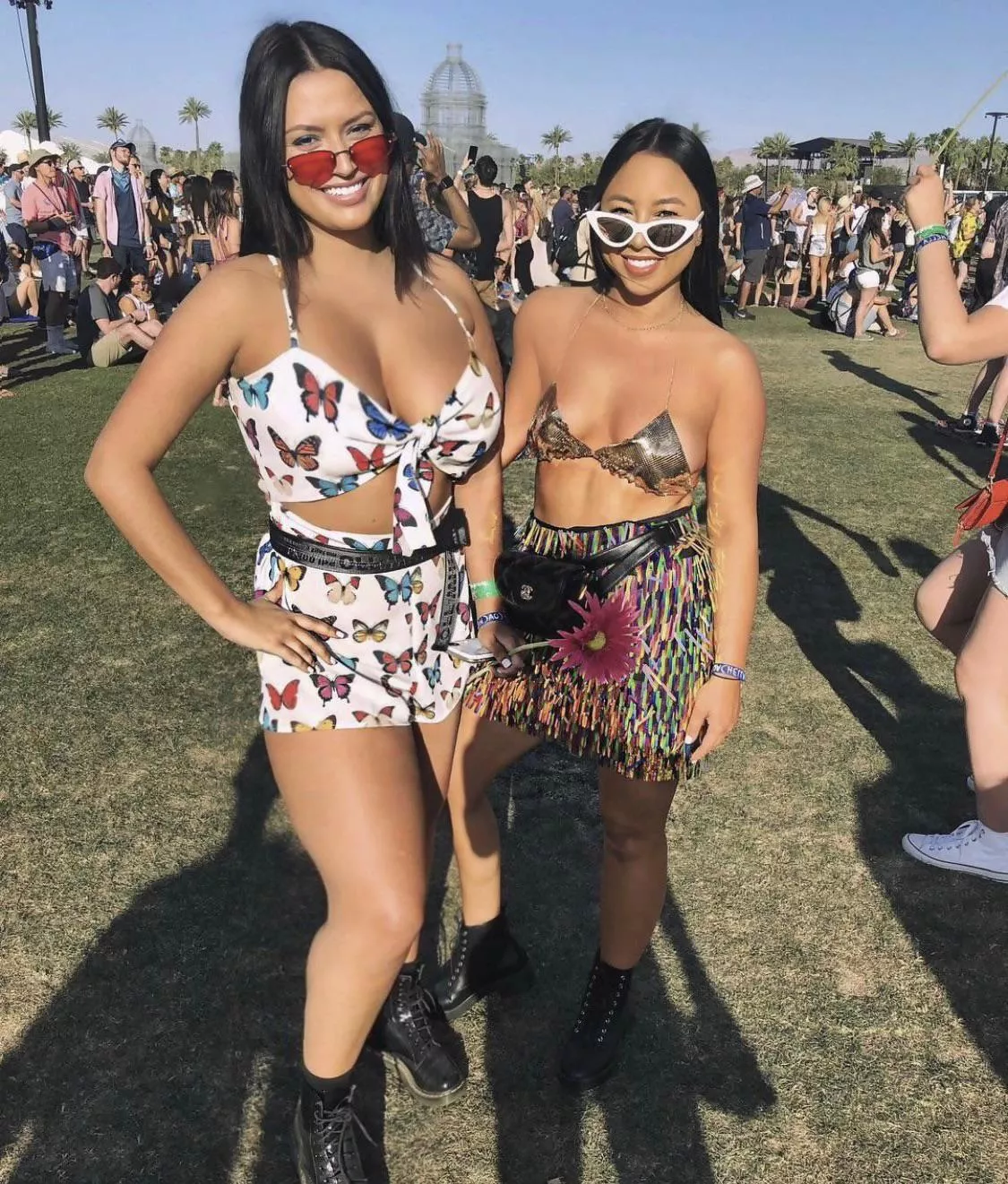 Tall or Short? posted by Pumpkinpie2722